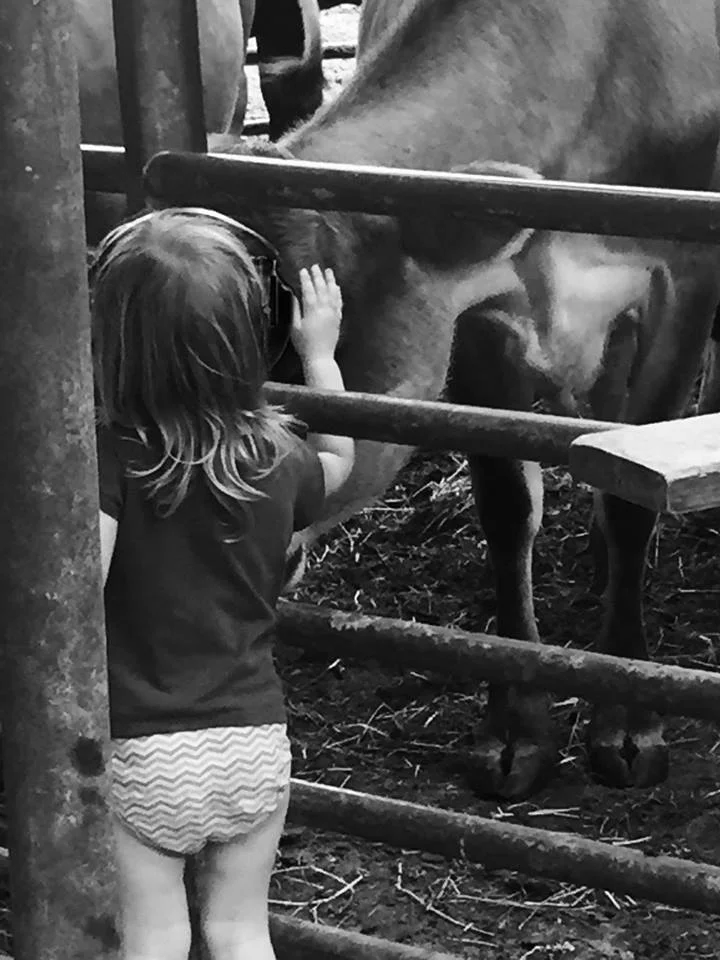 A girl mom on a farm Orchard House Creamery